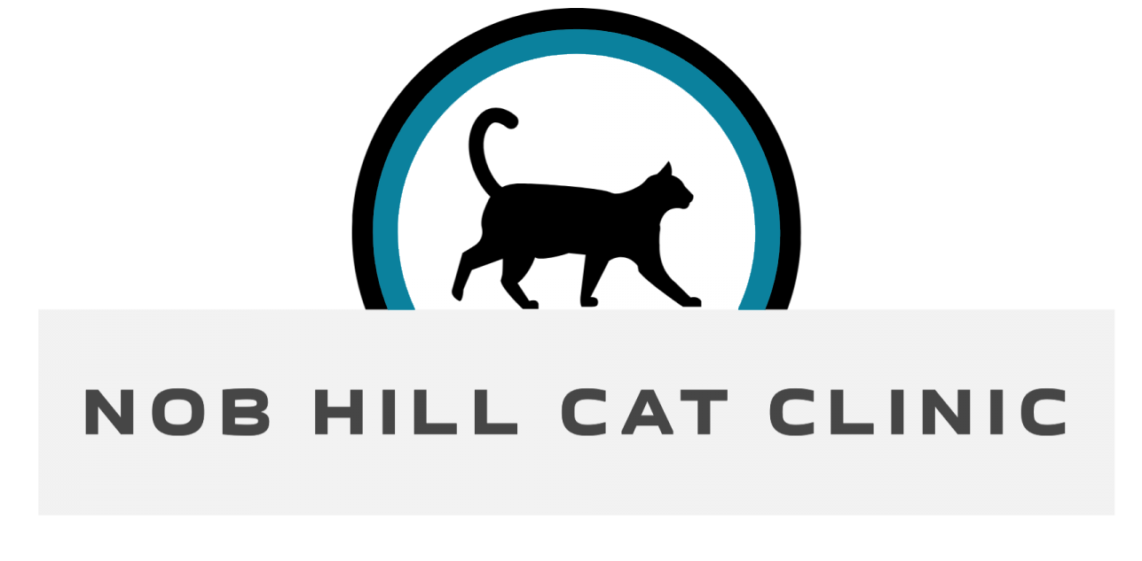 Nob Hill Cat Clinic - San Francisco California